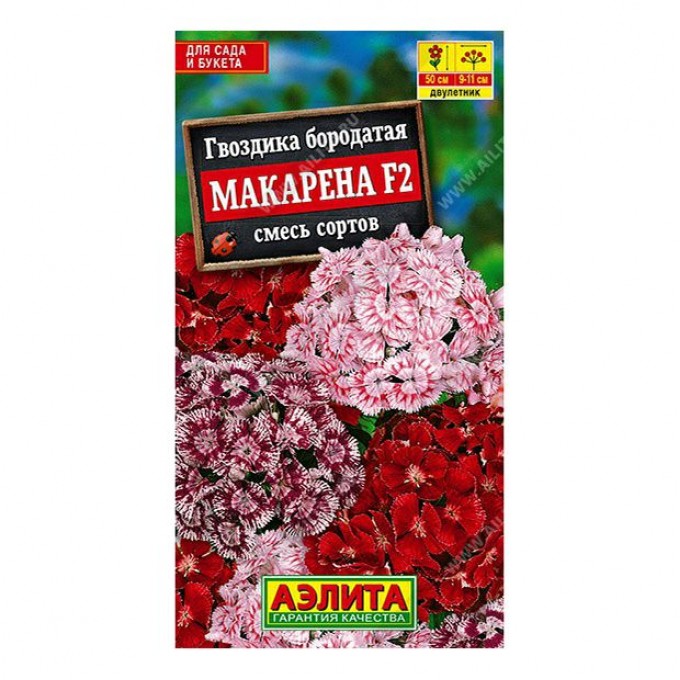 Семена Гвоздика Макарена F2 АЭЛИТА 0,05 г 100066867814