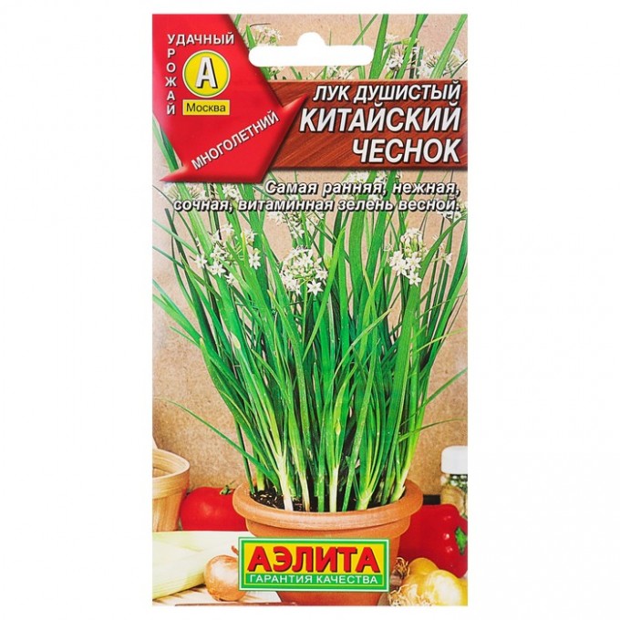 Семена Лук душистый "Китайский чеснок", Мн, 0,3 г (2 шт) 3975814-2P